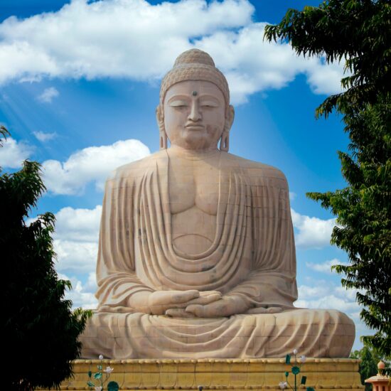 Buddha statue on private India tour