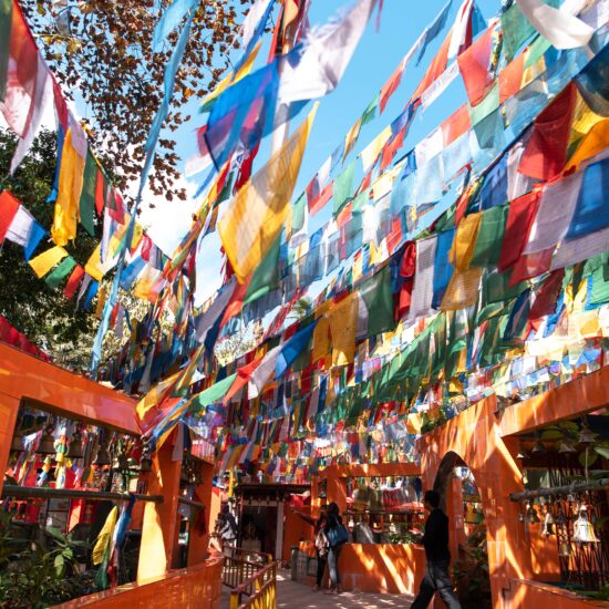 Prayer flags on private India tour