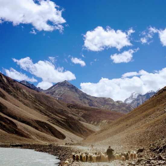 Himalayan life on private India tour.
