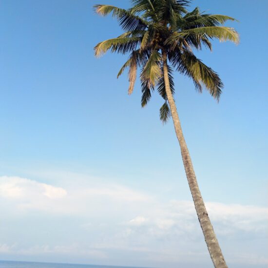 Kerala Beach on private India tour