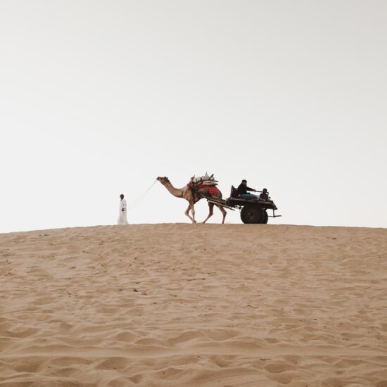 Workers in desert of Rajasthan on private India tour.
