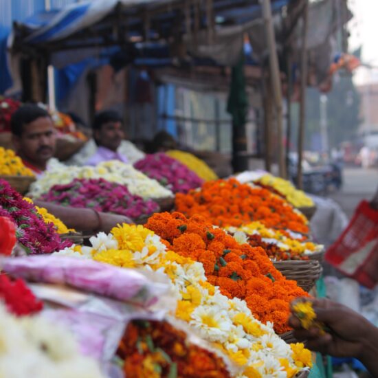 Flower market on private india tour